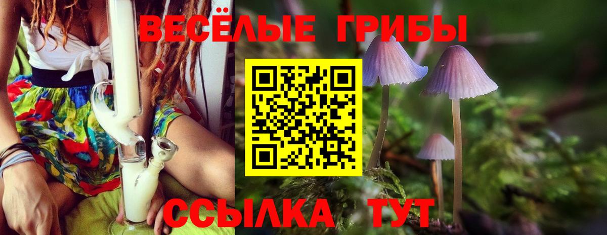 Галлюциногенные грибы Psilocybe  Псилоцибиновые грибы MAGIC MUSHROOMS  Вход с VPN  Соликамск 